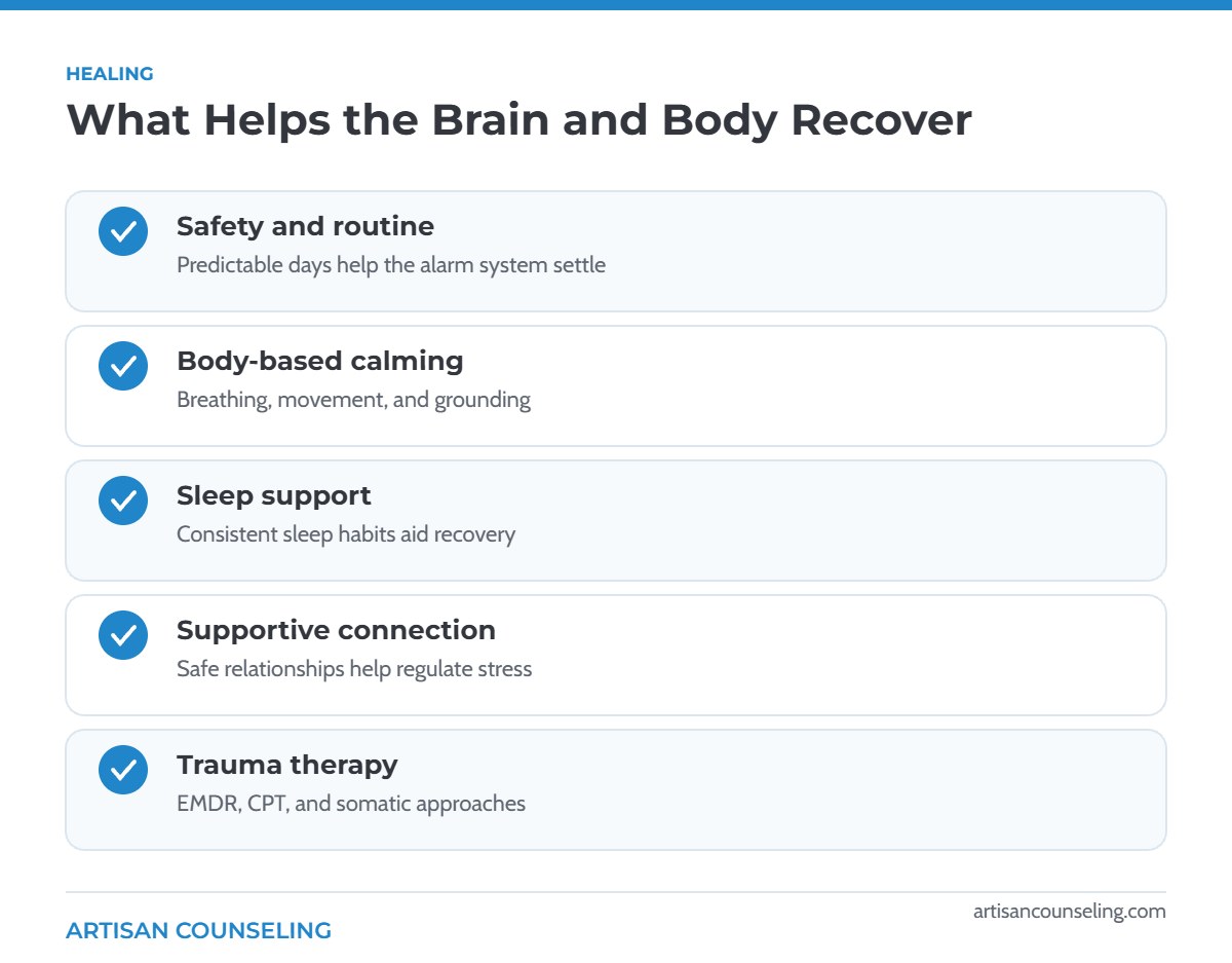 Checklist of what helps the brain and body recover from trauma, including safety, body-based calming, sleep, connection and trauma therapy